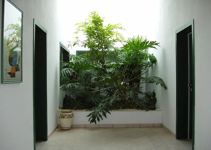 فندق La Primula 3*