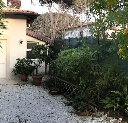 La Primula מלון 3*