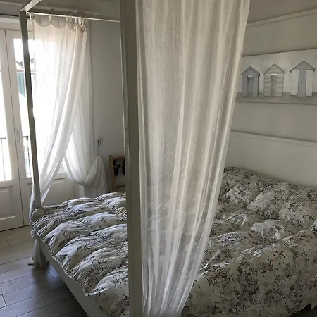 La Primula Forte dei Marmi